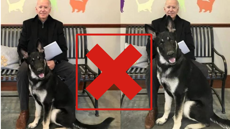 First shelter dog in the White House: Joe Bdens dog photoshopped | wusa9.com