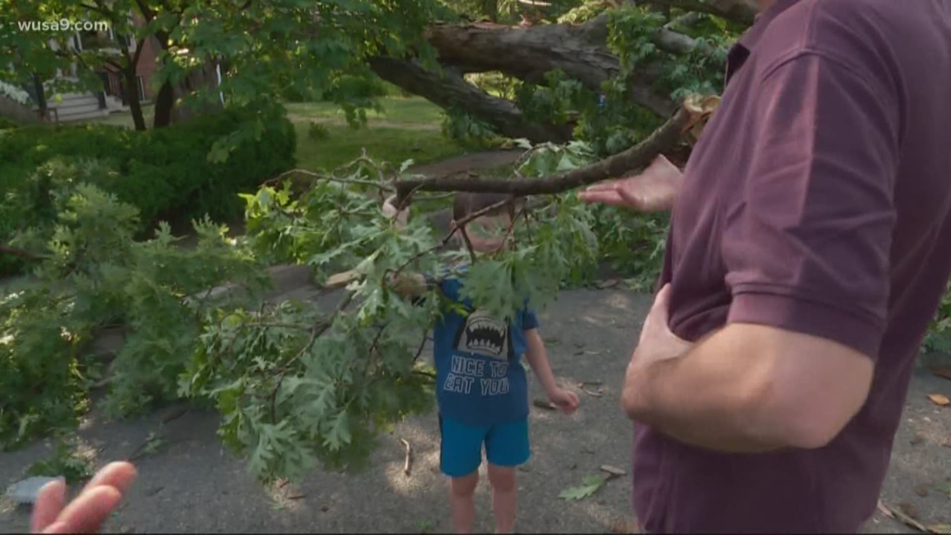 Severe storms rolled through the DMV Thursday afternoon causing damage across the region.