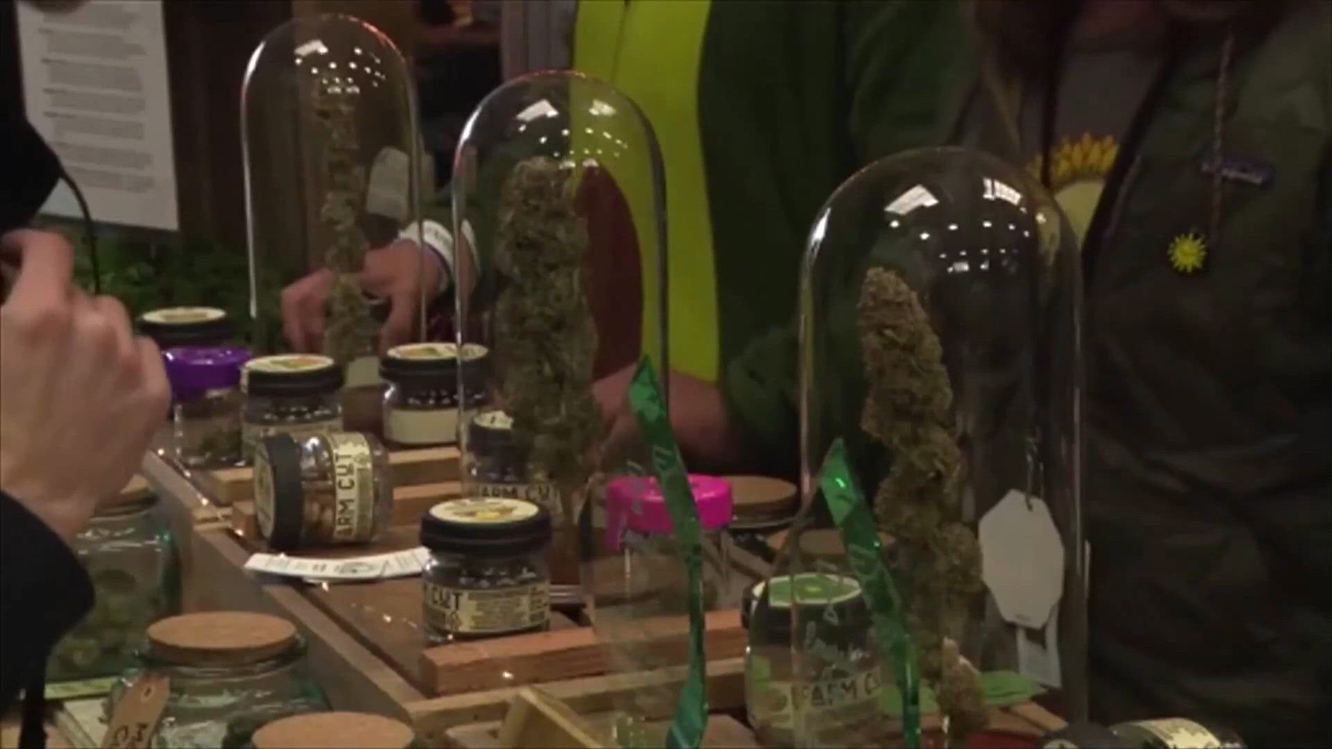 wusa9.com - Matthew Torres - Will Gov. Spanberger sign or veto the cannabis marketplace bill?