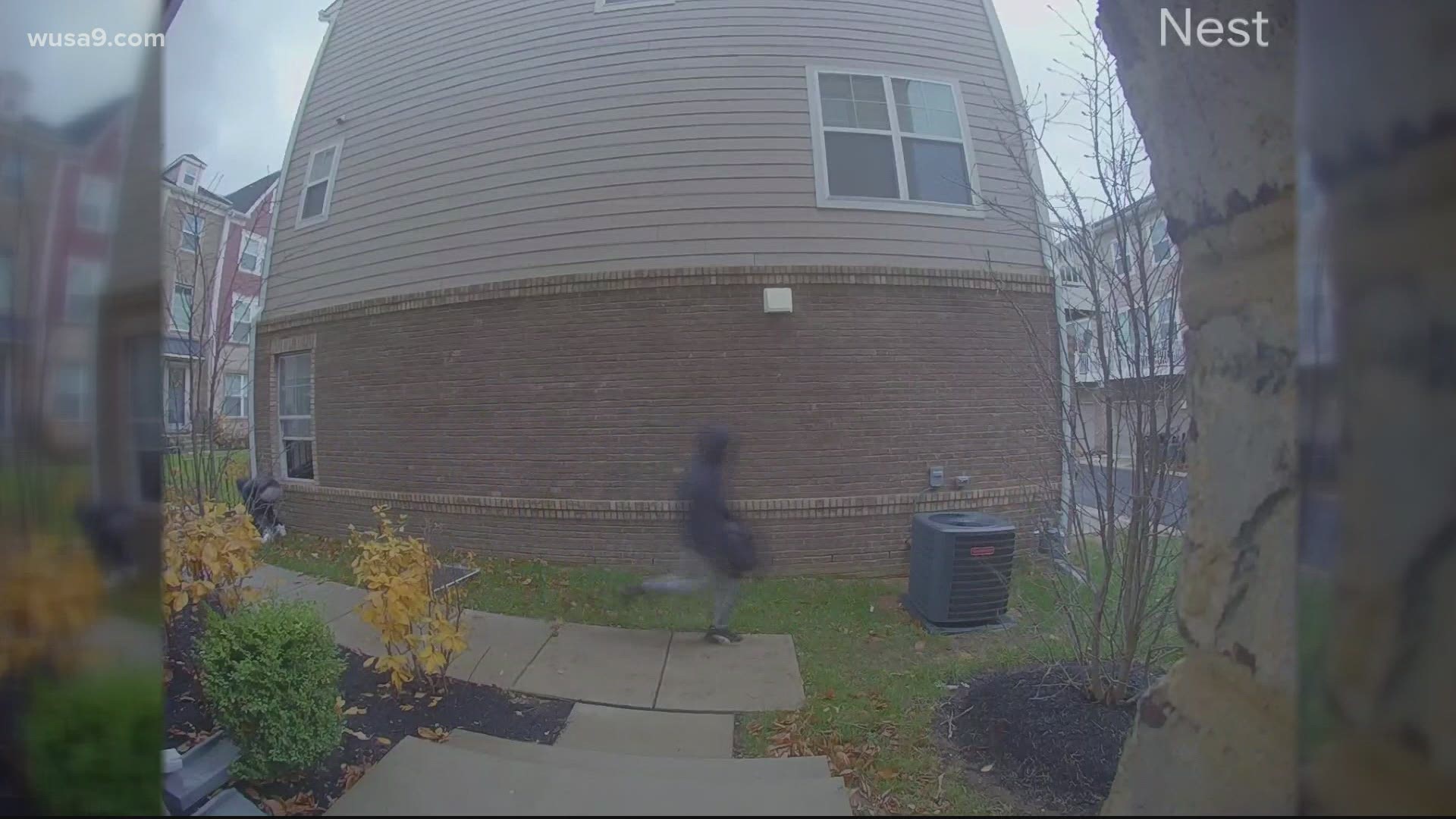 A recent national study revealed 50% of Americans report being the victims of package theft in the past year.