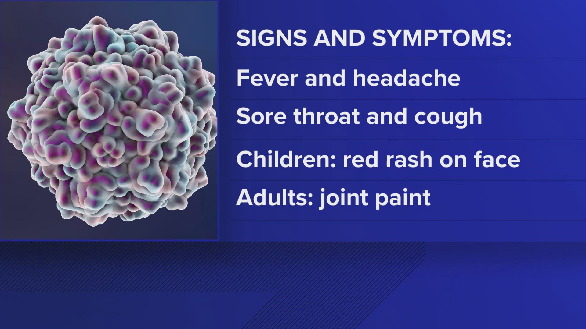 Human Parvovirus B19: Signs and symptoms | wusa9.com