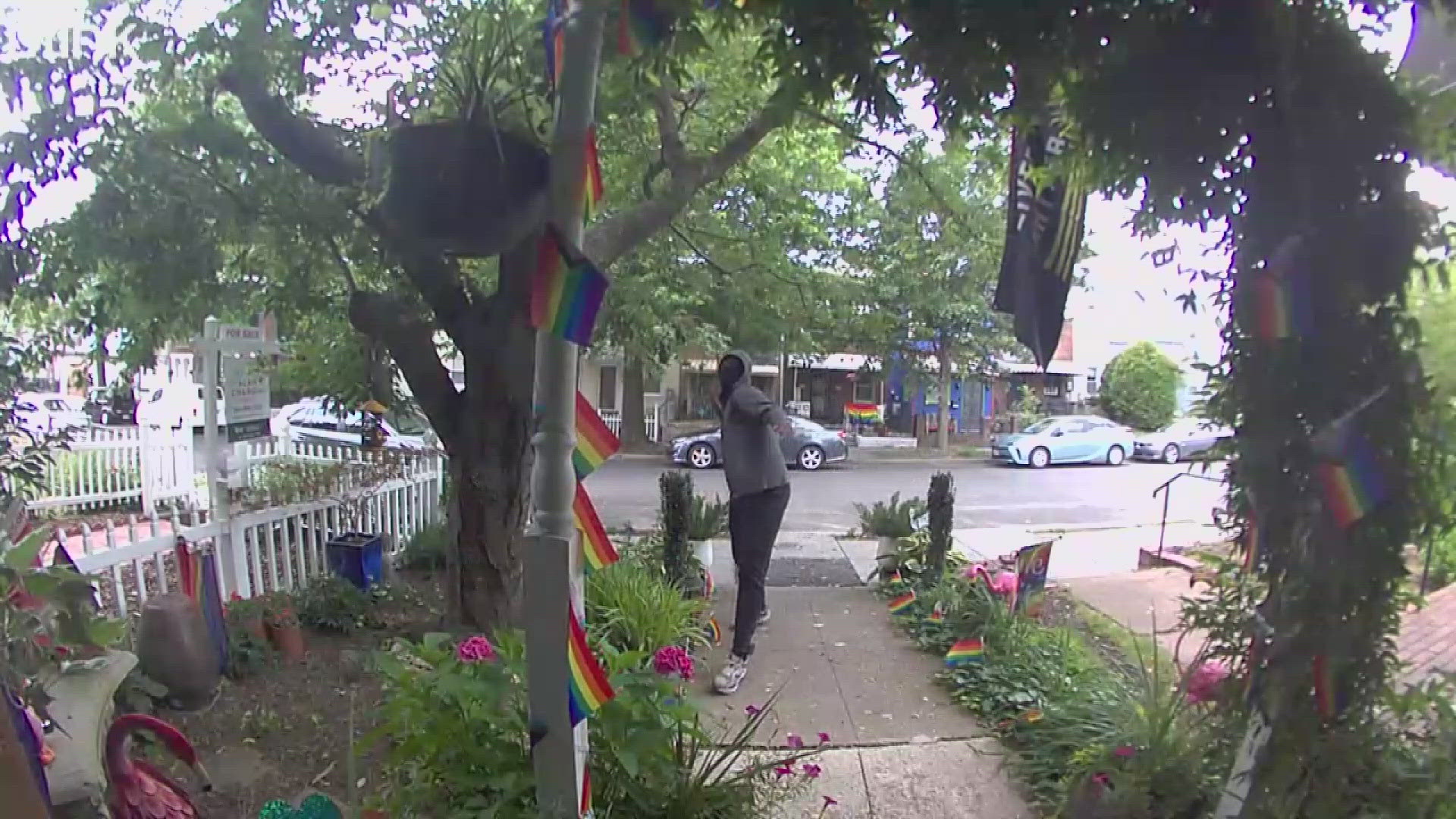 The incident was caught on camera earlier this month.