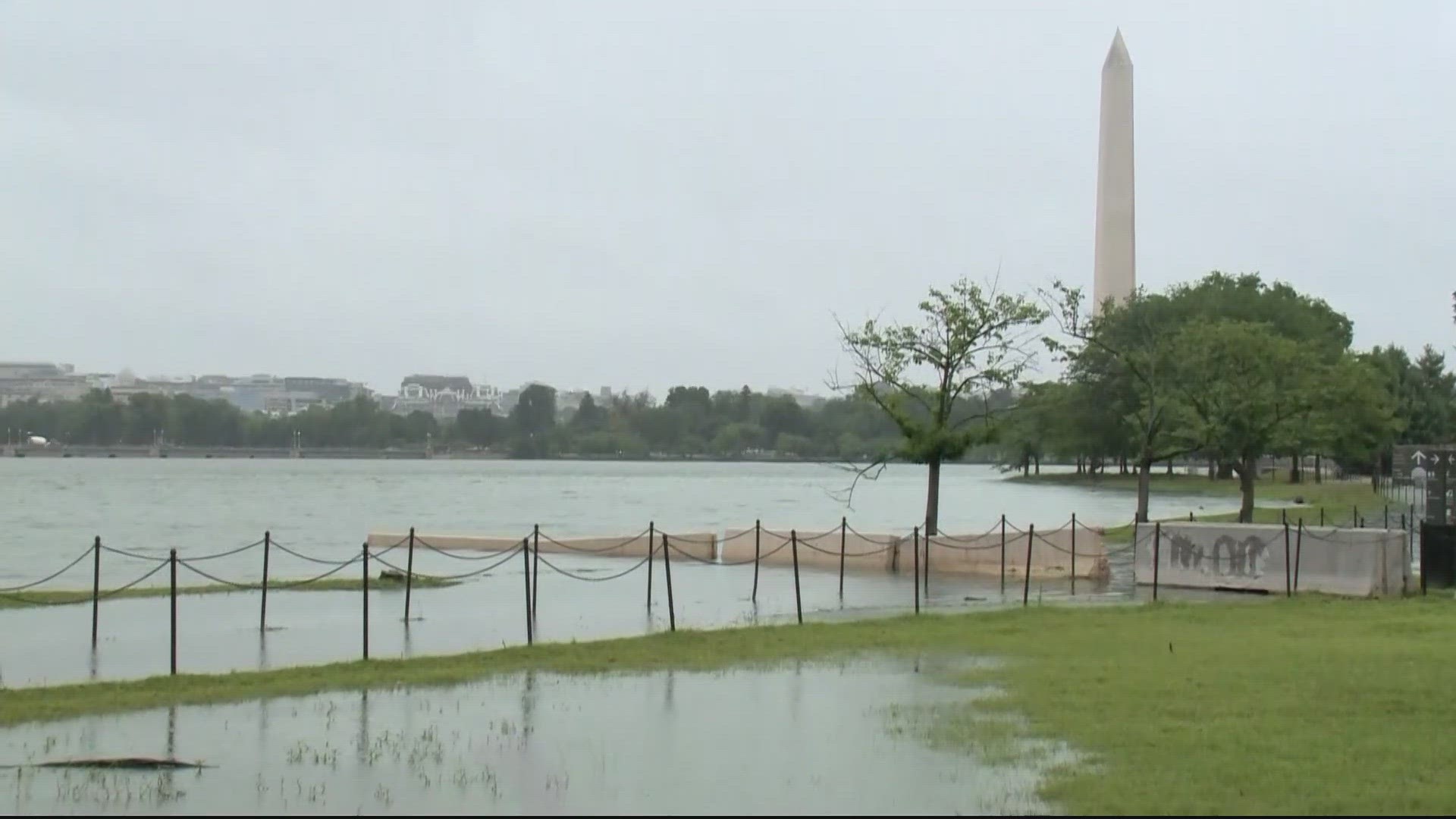 Age, rising sea levels and poor drainage have taken a toll on the Tidal Basin and West Potomac Park seawalls. Here's the plan to fix them.