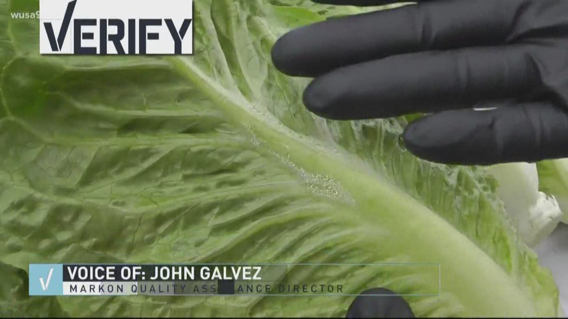 VERIFY Are these viral videos of plastic lettuce real?