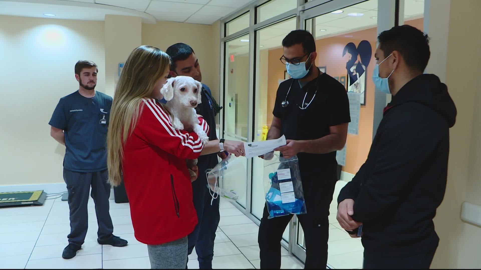 Over $8,000 was raised for a dog named Bruno after he was hit by a car in Fairfax County.