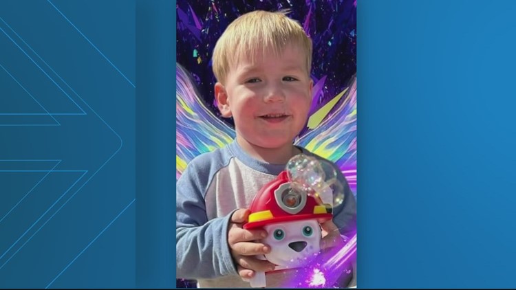 Pitbull mix attacks and kills 2-year-old boy in Maryland