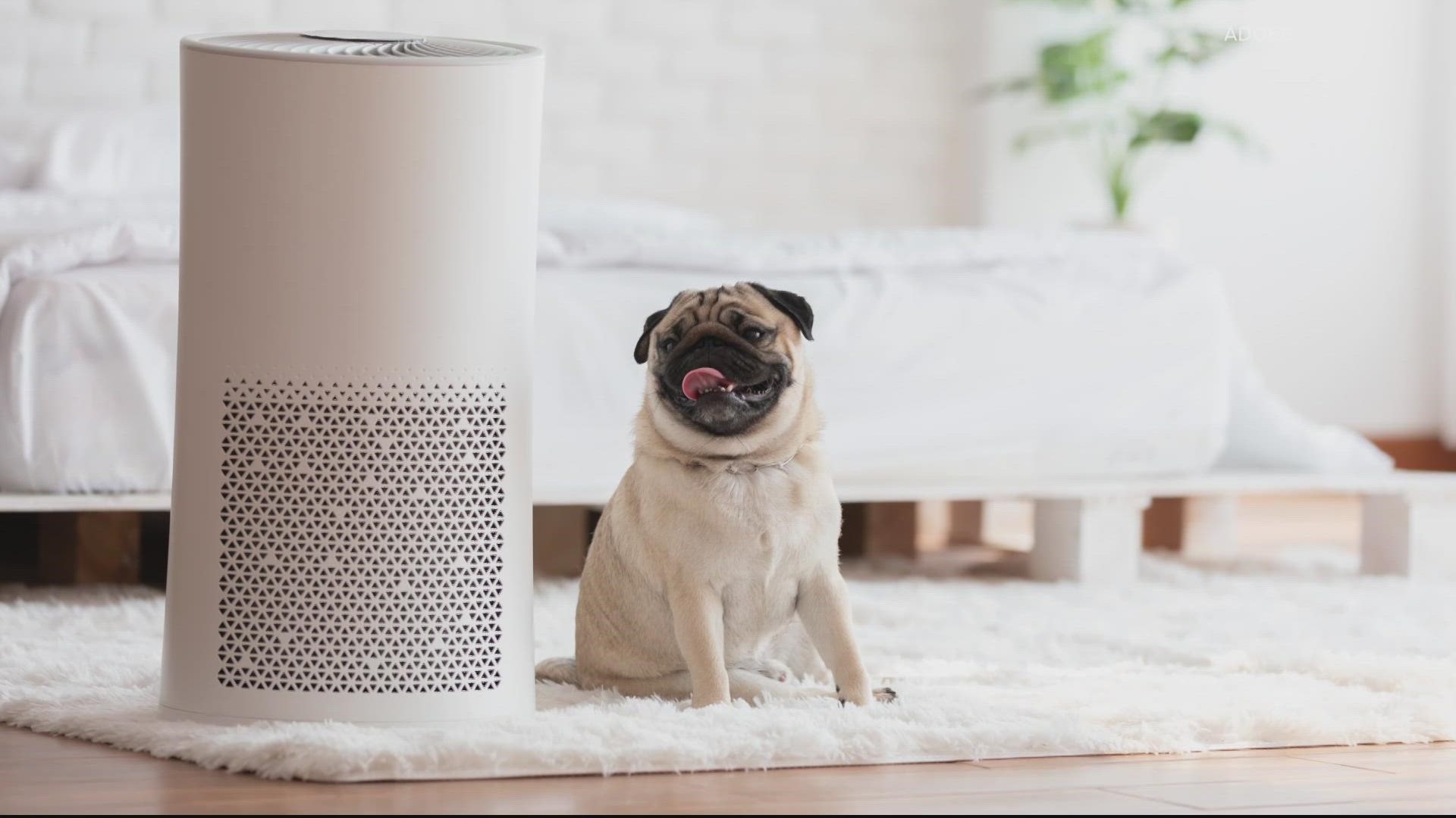Here's what you need to know about air purifiers.