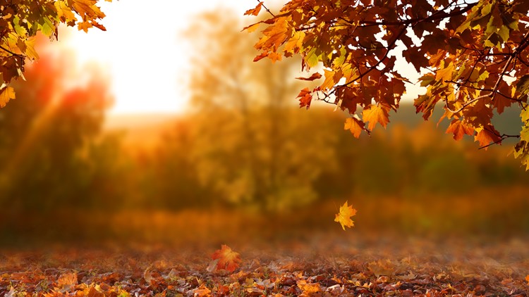 Seeing fall colors?  Here's where leaves are starting to change in the DMV
