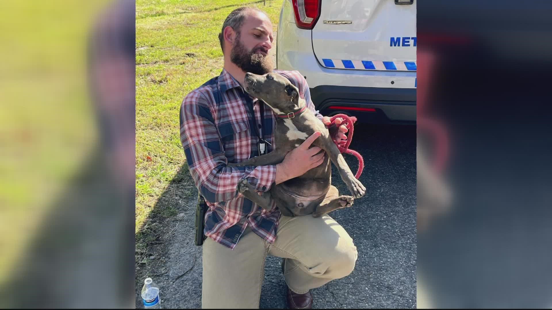 A man was happily reunited with his 5-month-old pup after they were allegedly shot at last Wednesday in Northeast D.C.