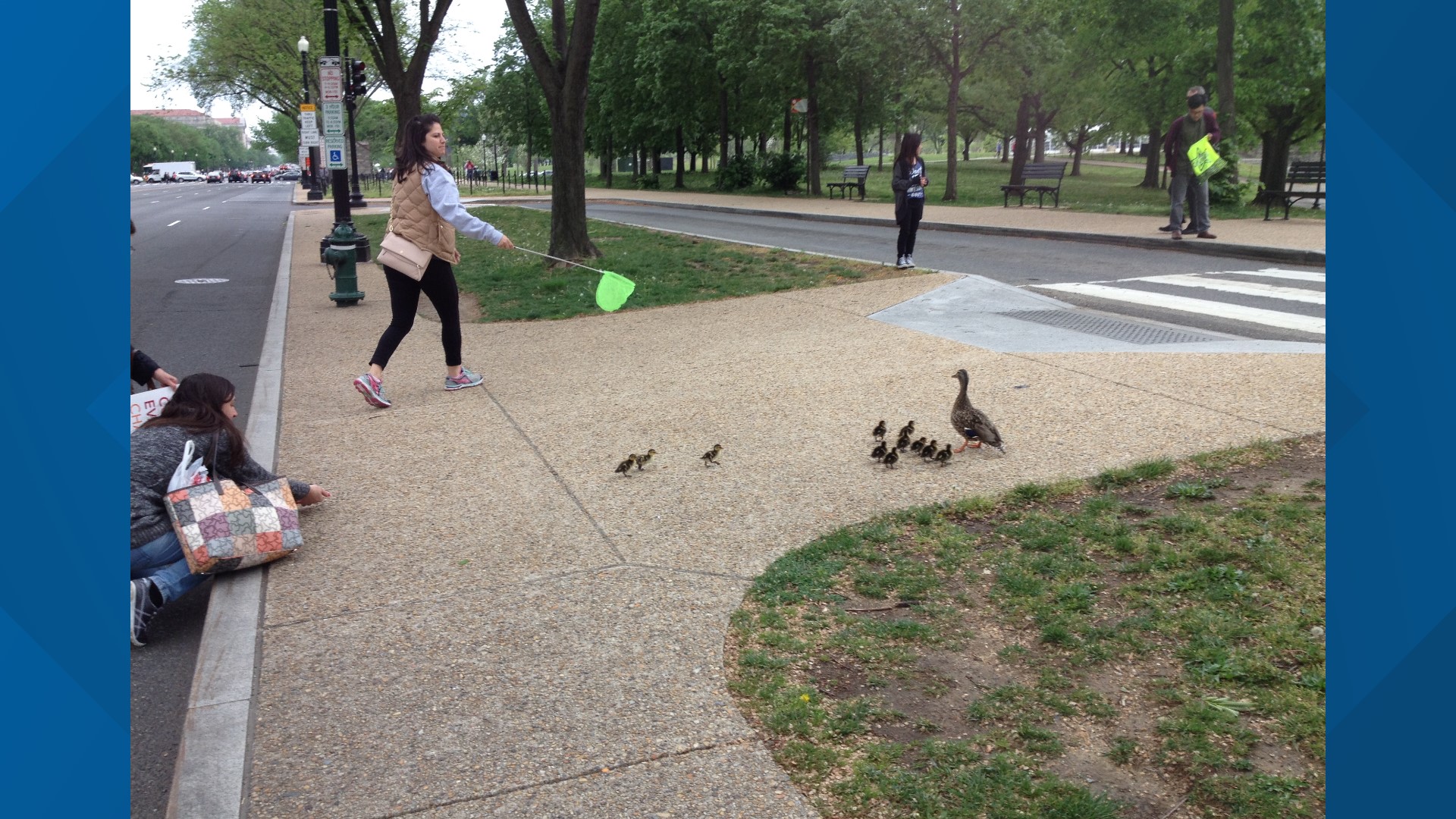 Here's how City Wildlife cares for DC's animals | wusa9.com