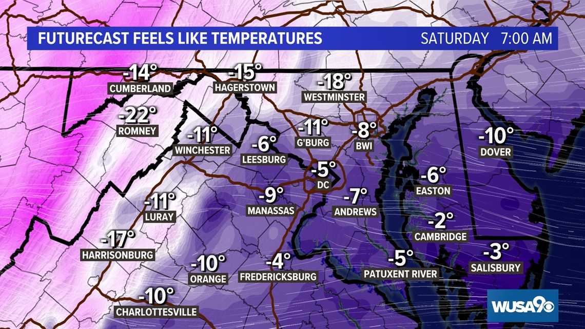 Chelsea Handler's Dog Chunk Dies Months After She Had to Put Her Other ...