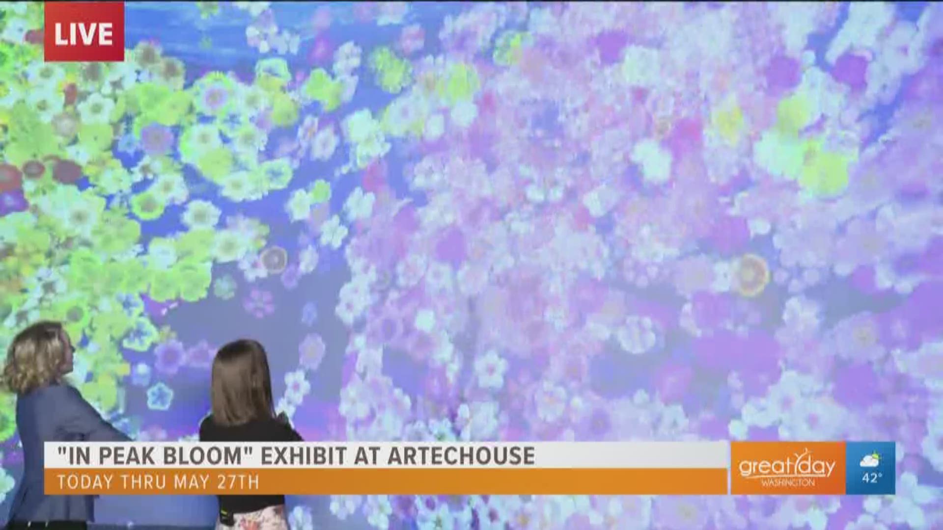 The "In Peak Bloom" exhibit at Artechouse has opened just in time for the first day of spring and features high-tech works of art that you can enjoy from now till May 27.