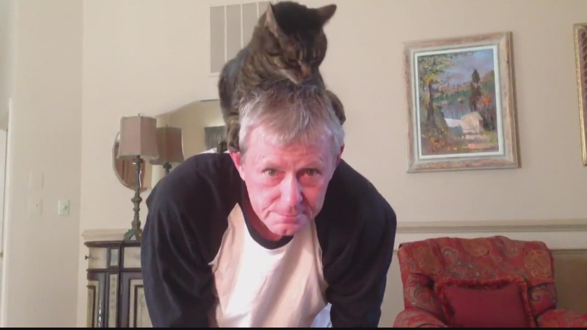 Cat gives man scalp massage | Greatest Hit