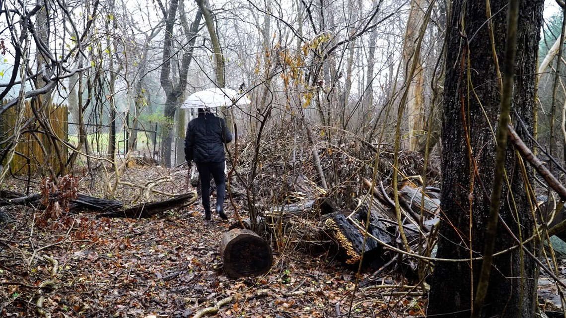 150-year-old cemetery lies hidden off Piney Meetinghouse Road - Vimarsana News