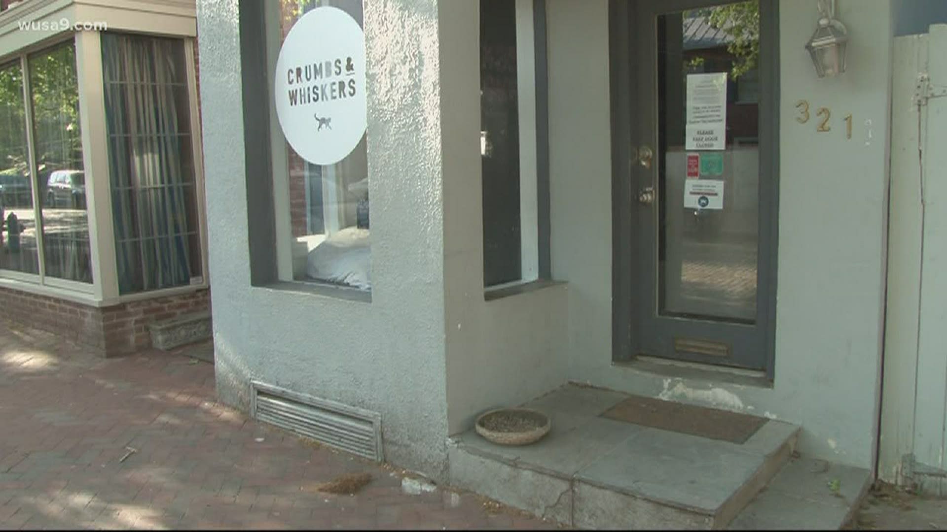 Like many small businesses around the U.S., the owner of Crumbs & Whiskers is struggling to keep all three locations open. The cat lounge on O St. may be gone soon.