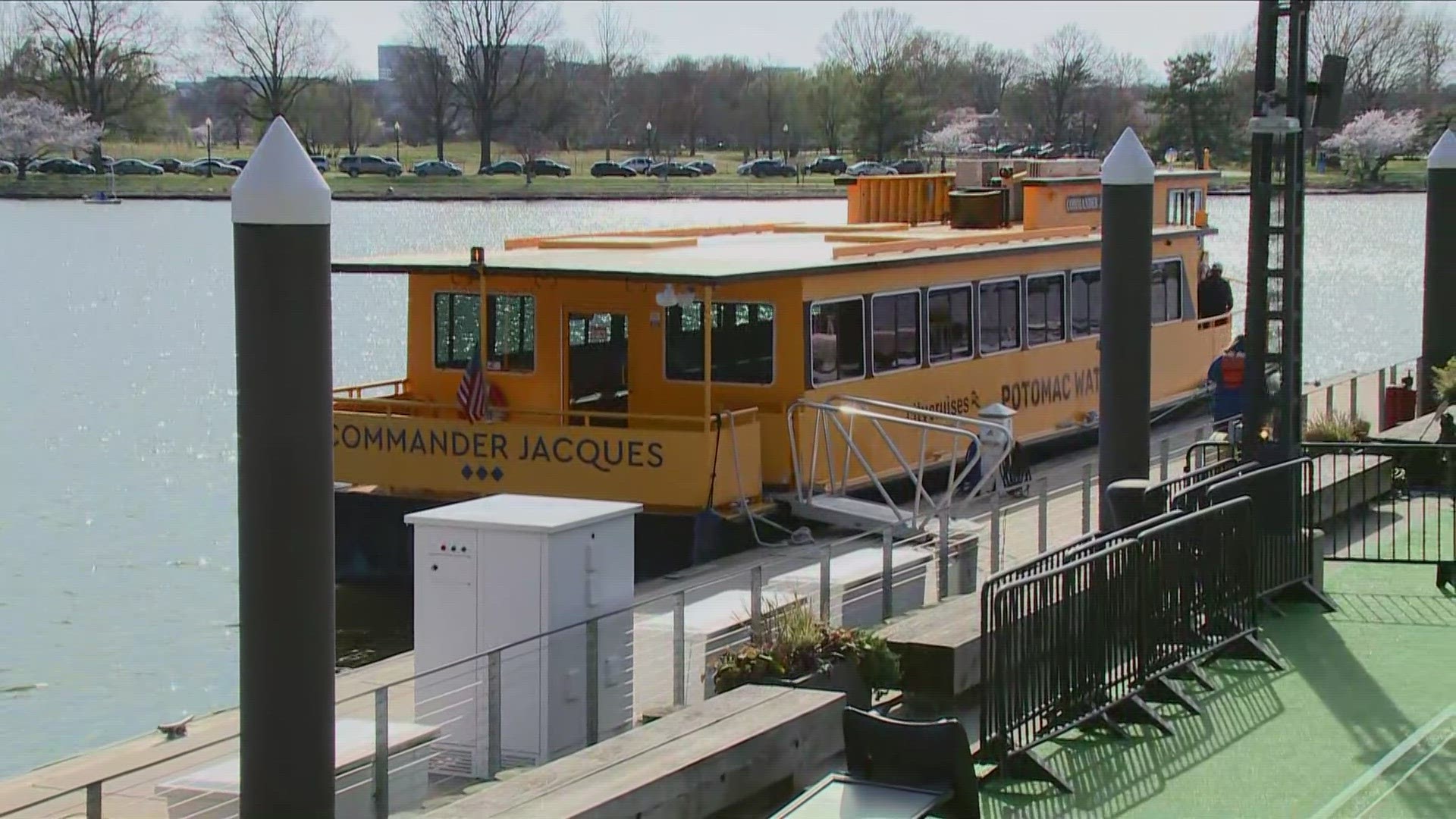 Meteorologist Makayla Lucero is going to take a water taxi to view DC's cherry blossoms.