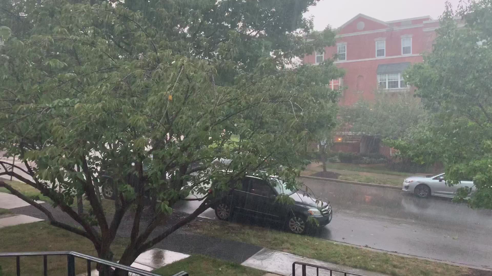 Heavy rain passes through McLean Gardens in NW DC
