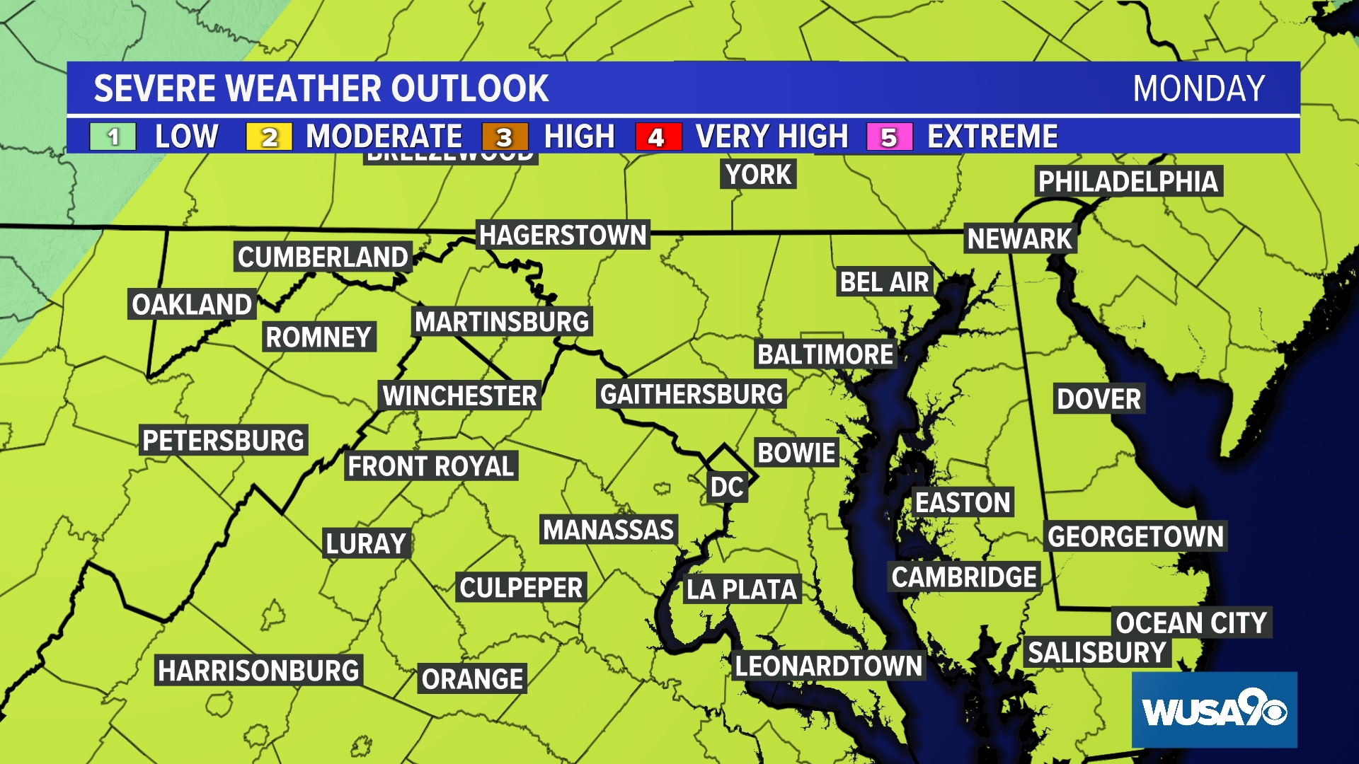 Giant pandas leave National Zoo after 50 years in DC | wusa9.com