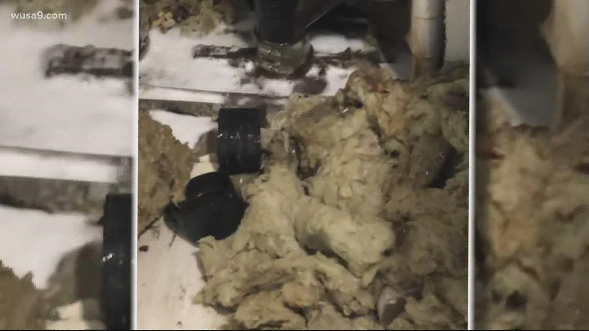 MOLD U: Hundreds of students struggle with mold in campus dorms