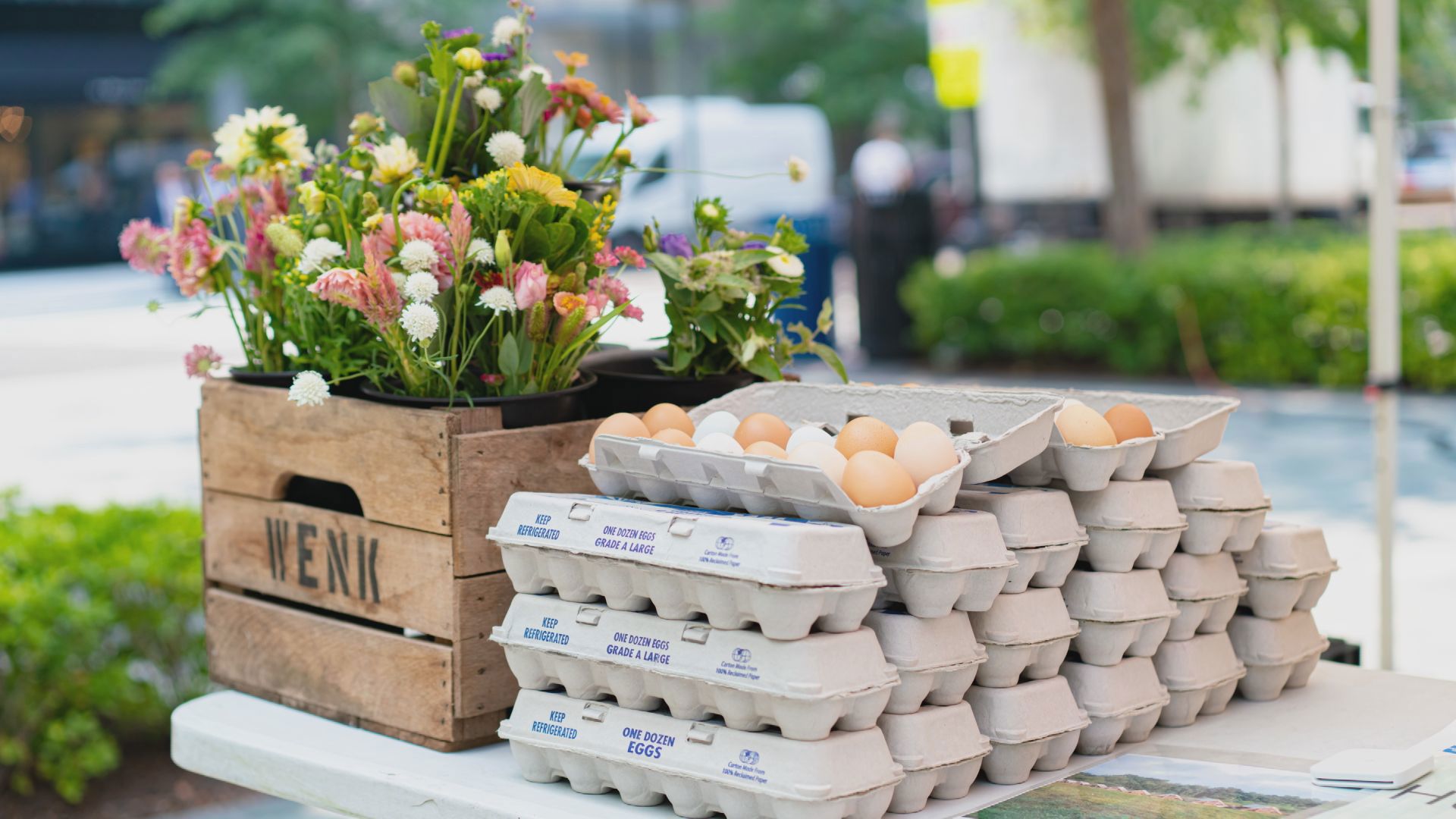 Renee Catacalos from Freshfarm, and Marc Grossman from The Farm at Our House tell us about the importance of farmers markets to our local economy and personal health