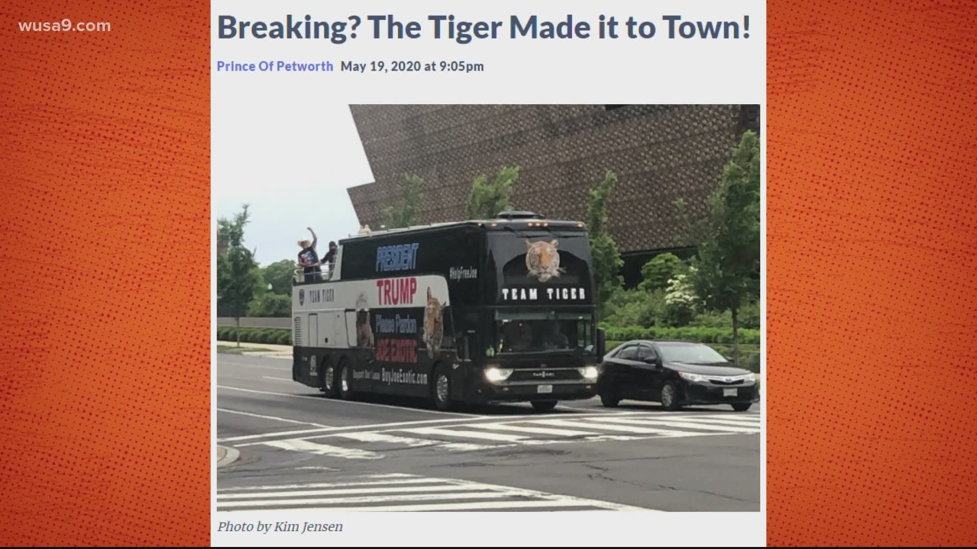 Team Tiger is rallying to get Joe Exotic from the Tiger King a presidential pardon.