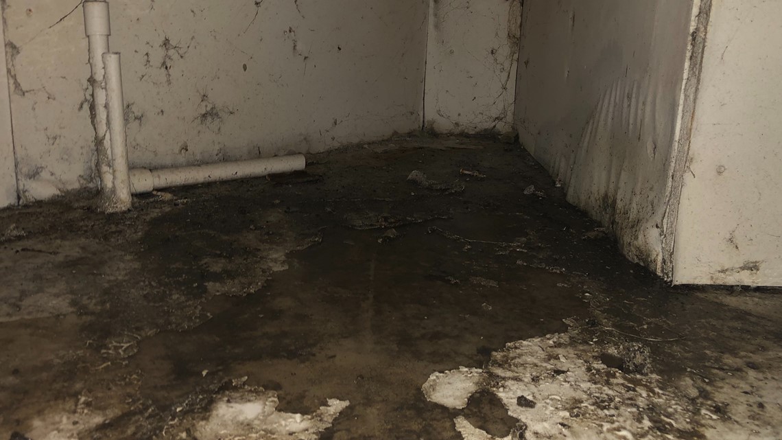 Mold And Water Damage From Inside Military Housing 