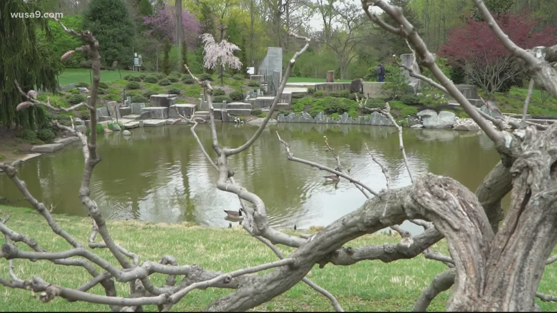 Brookside Gardens allows visitors to be inspired by nature.