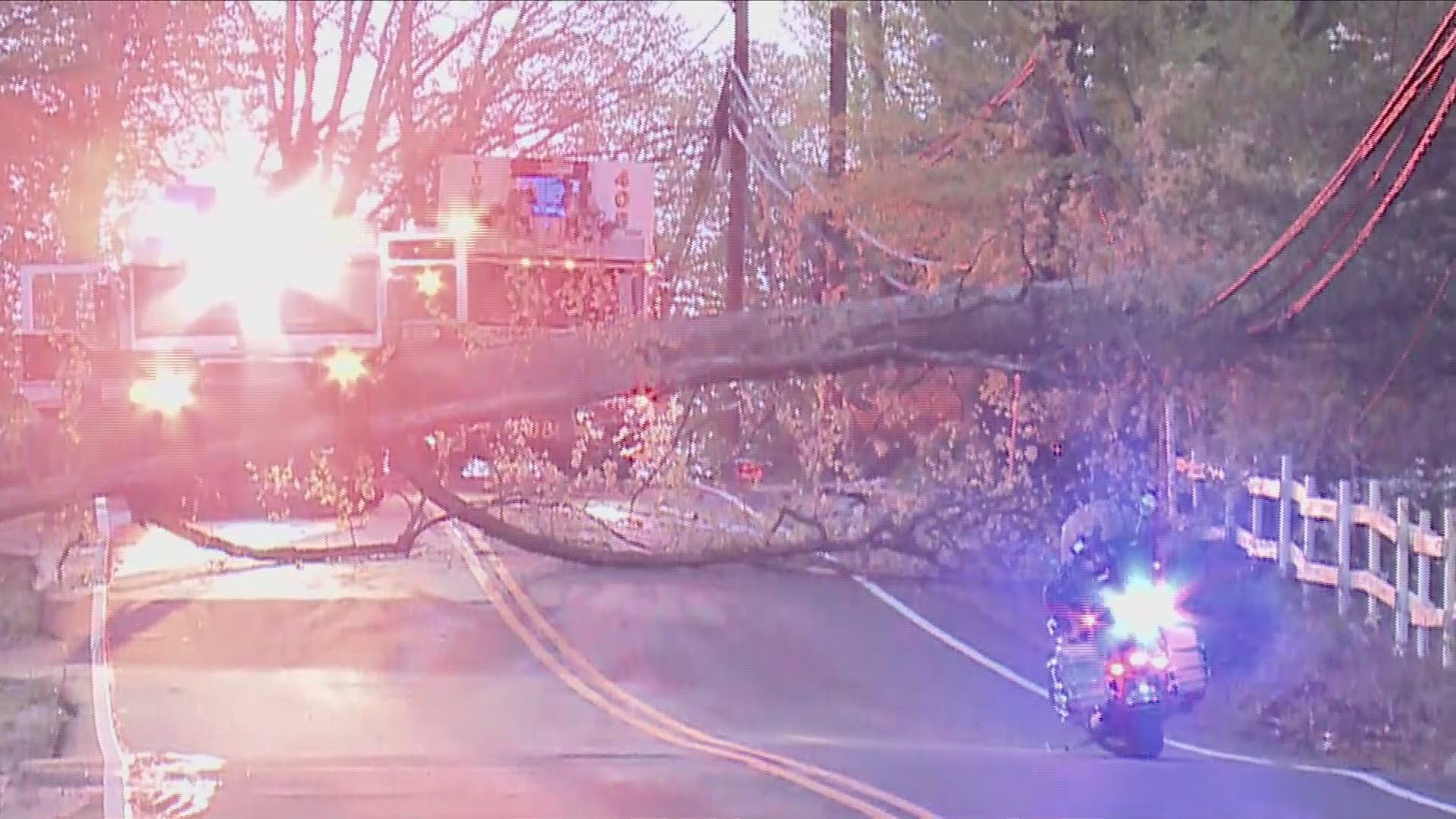 Dozens of customers are without power after a large tree knocks down power lines in Fairfax, Virginia.