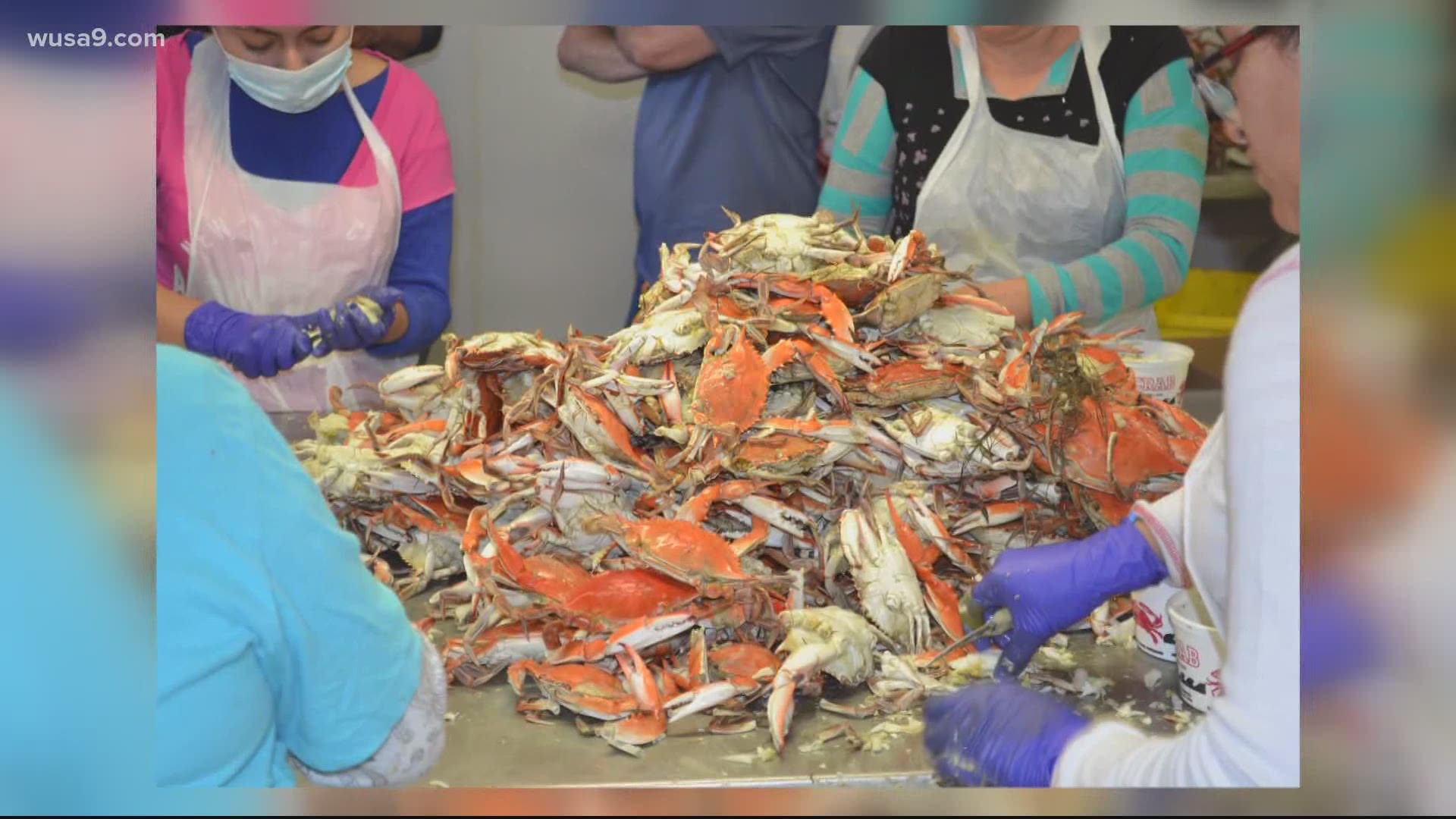 A manager of a Maryland seafood company said that business is down 75% as the economic downturn has led to fewer people ordering from restaurants.