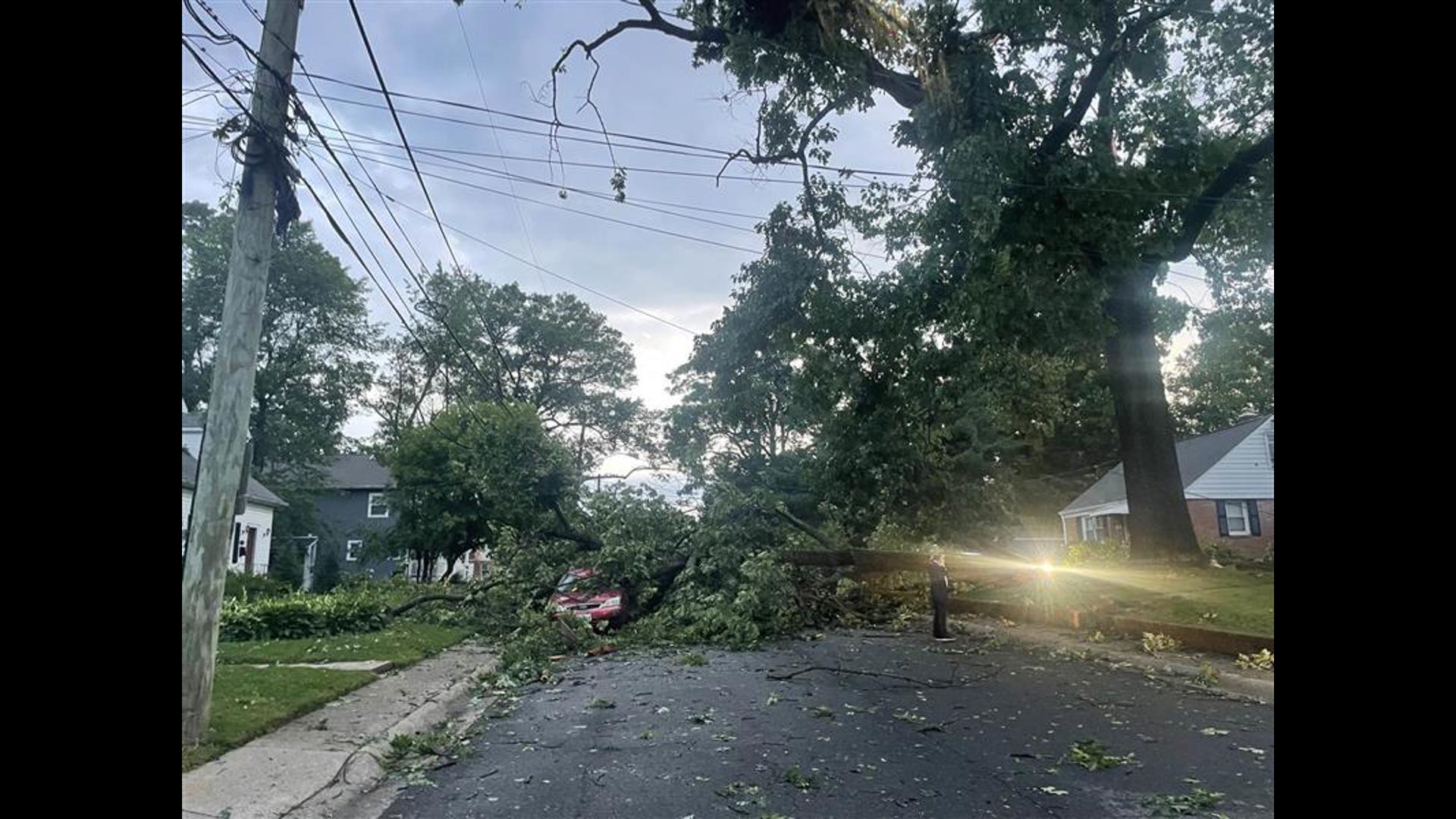 Fallen tree traps family in Gaithersburg home | wusa9.com