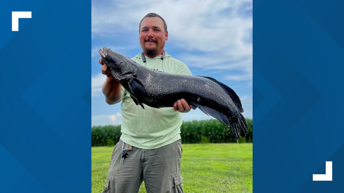 Man breaks record for largest snakehead catch in Maryland