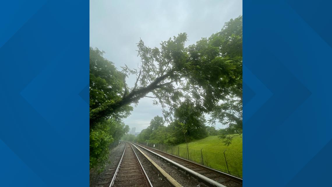 Tree over tracks impacting Metro service on Blue, Orange, Silver lines in Virginia