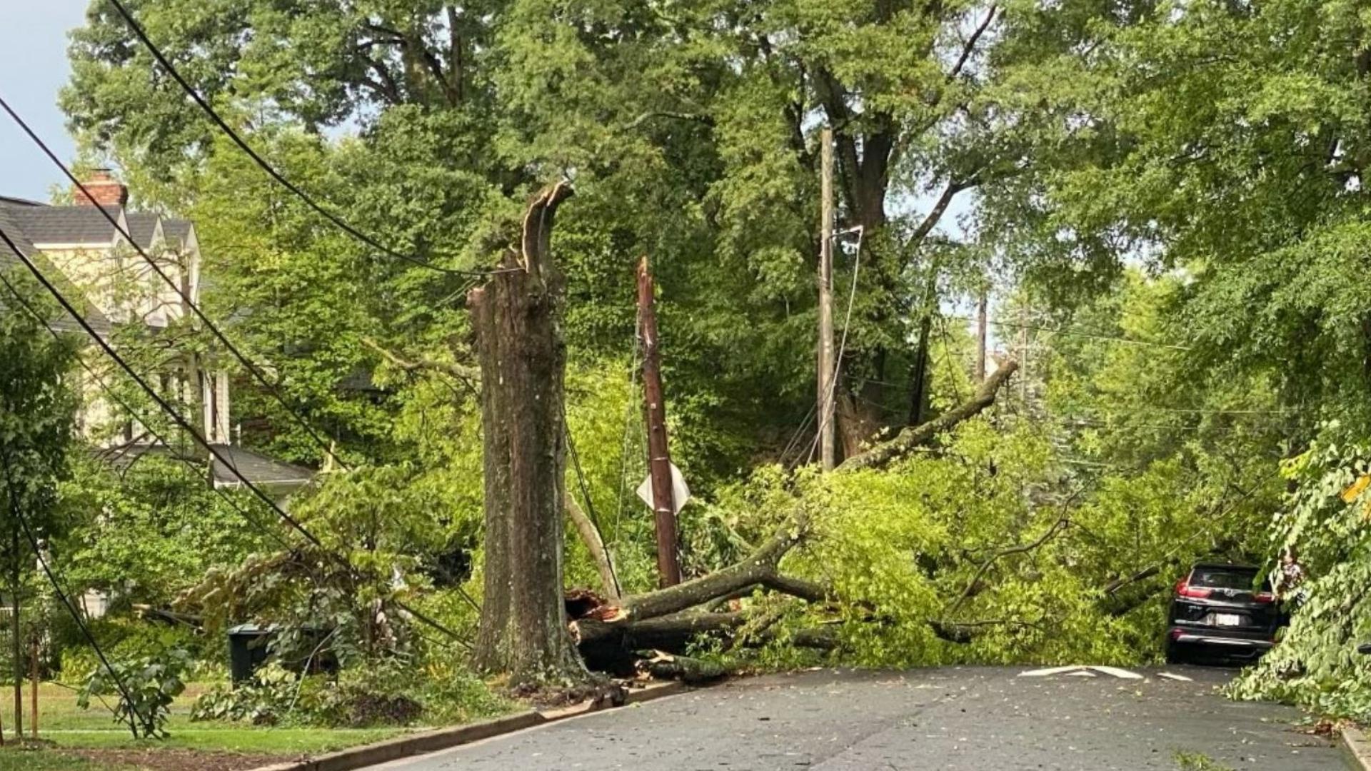 Strong storms down trees, kill power in the DMV | wusa9.com