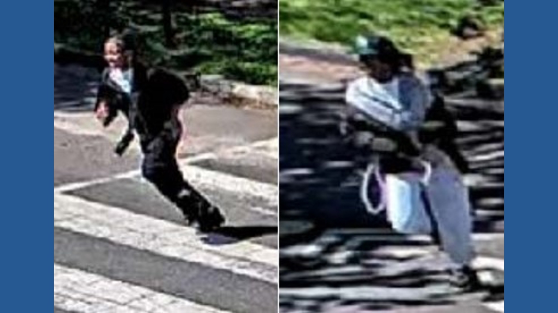 Two people sought after attempted carjacking in NE DC
