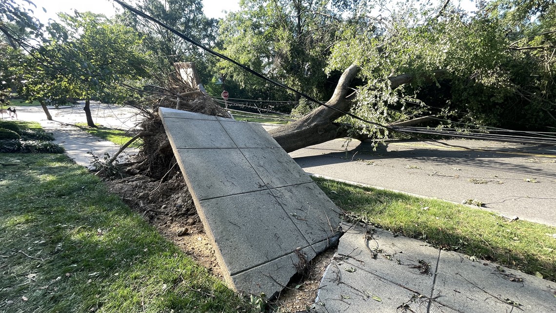 DC neighborhood without power as trees block Loughboro Road - Vimarsana News