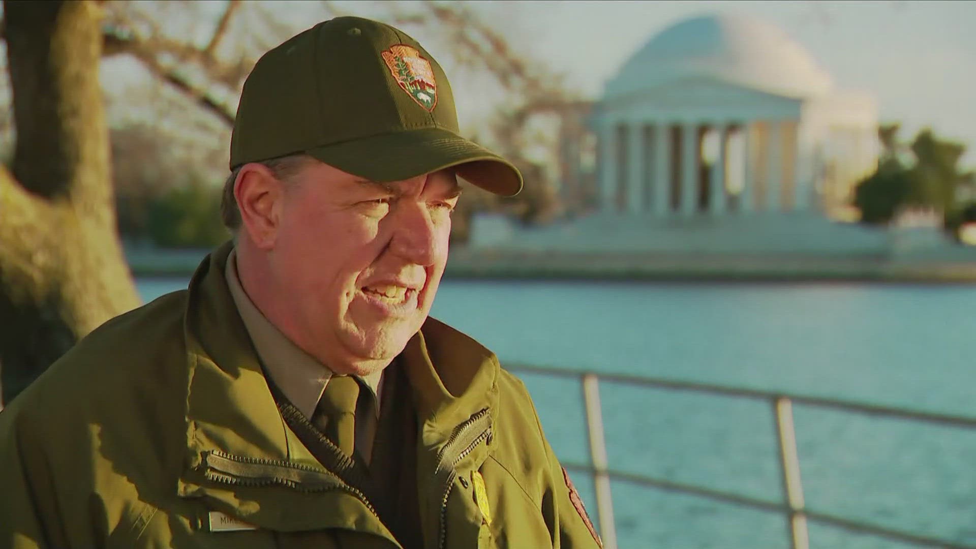 The experts at the National Park Service headed for the Tidal Basin on Thursday to predict the dates for this year's peak bloom.