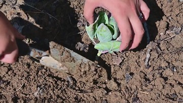 费尔法克斯县想听听你对本县气候变化的看法