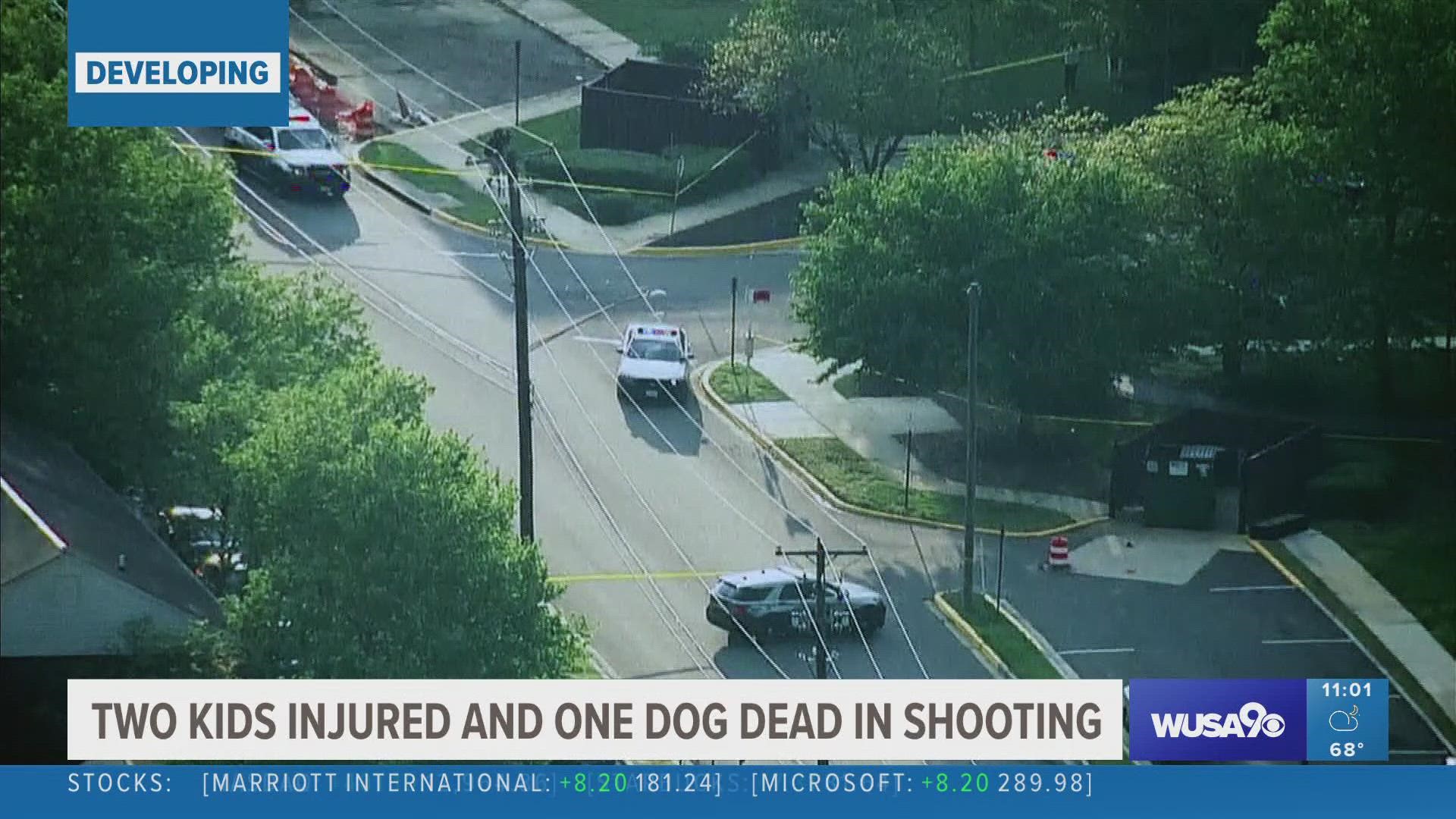 Police say a 14-year-old boy and 4-year-old boy have injuries that are not life-threatening. A 7-year-old terrier named Danger was killed.