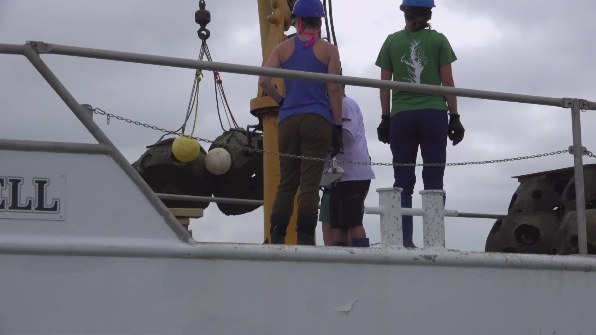 Rising sea level and more frequent storms now factor into Chesapeake restoration projects.