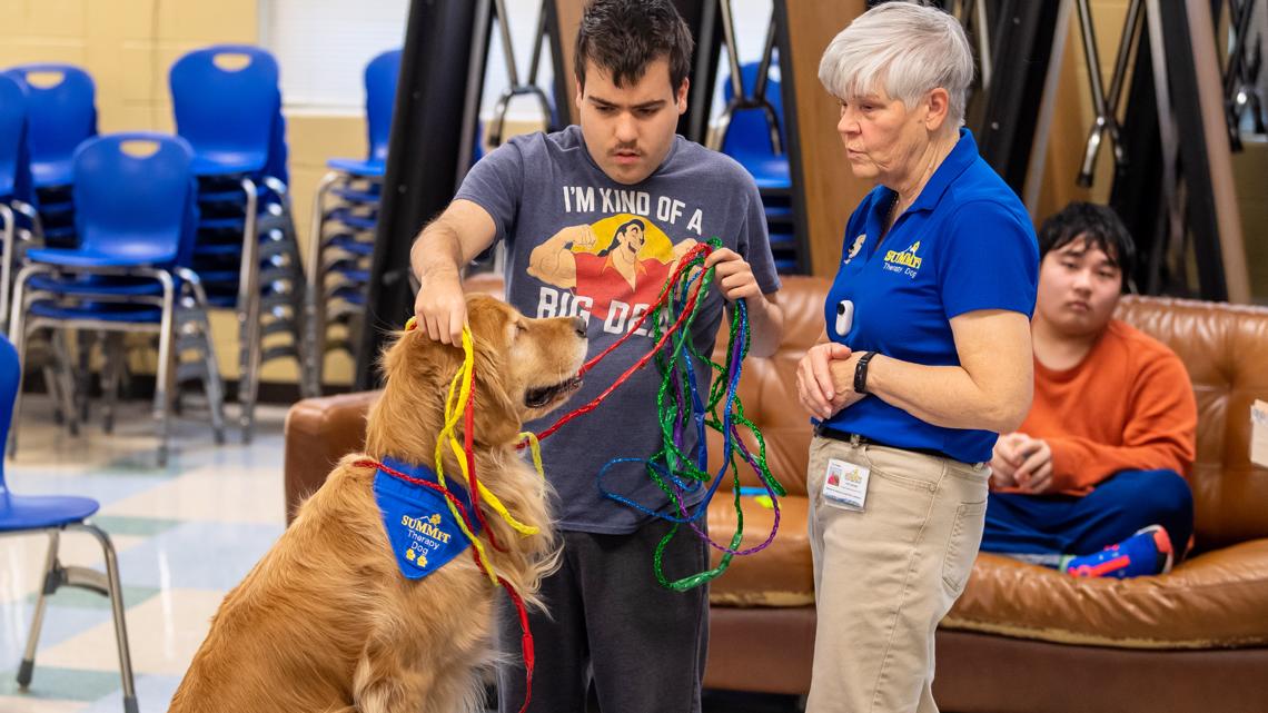 Dog helps kids with special needs in Fairfax County learn math | wusa9.com