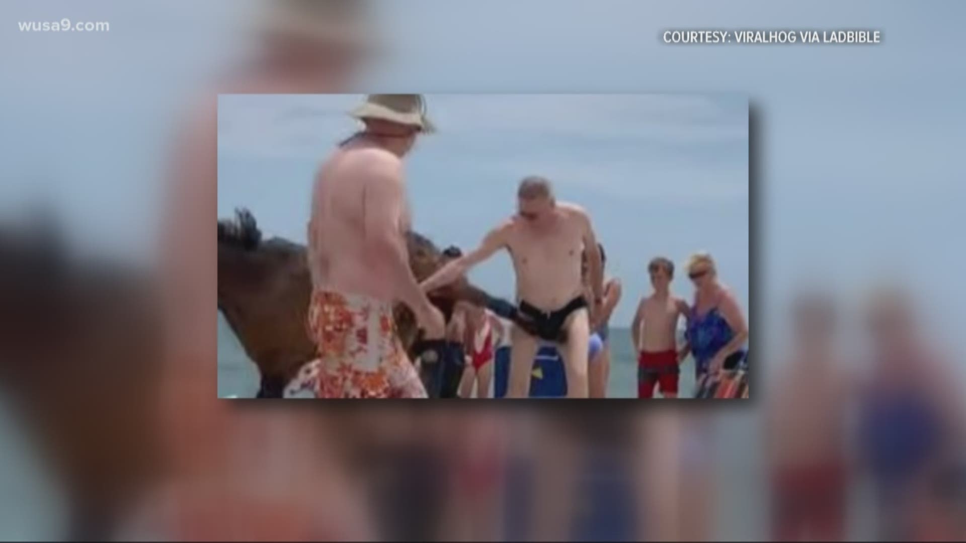 A wild horse on Assateague Island kicked a man in the groin. This is In Other News -- stories that may not be on your radar but should be.