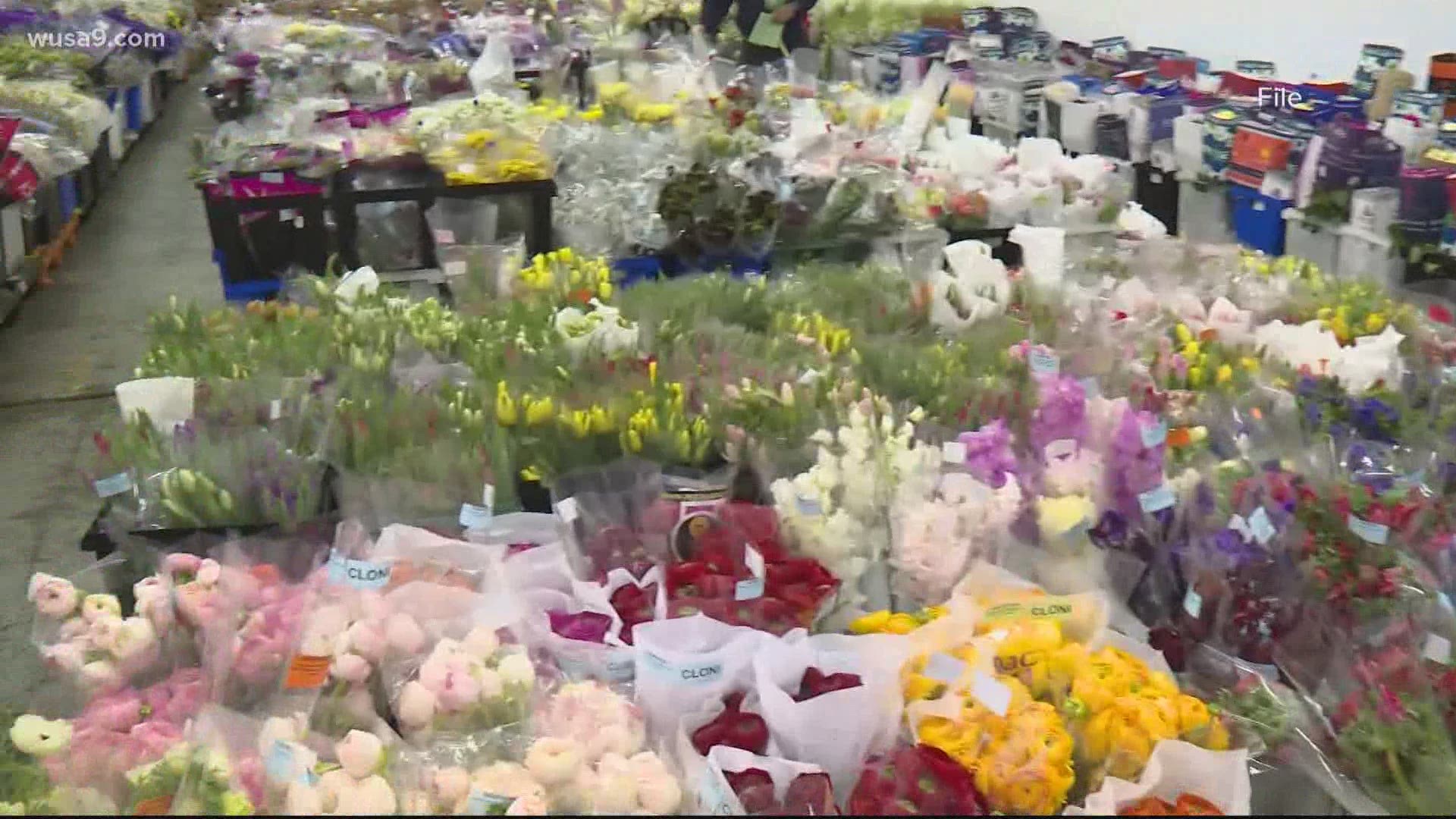 Many florist shops shut down in the DMV as the coronavirus started its spread throughout the region.