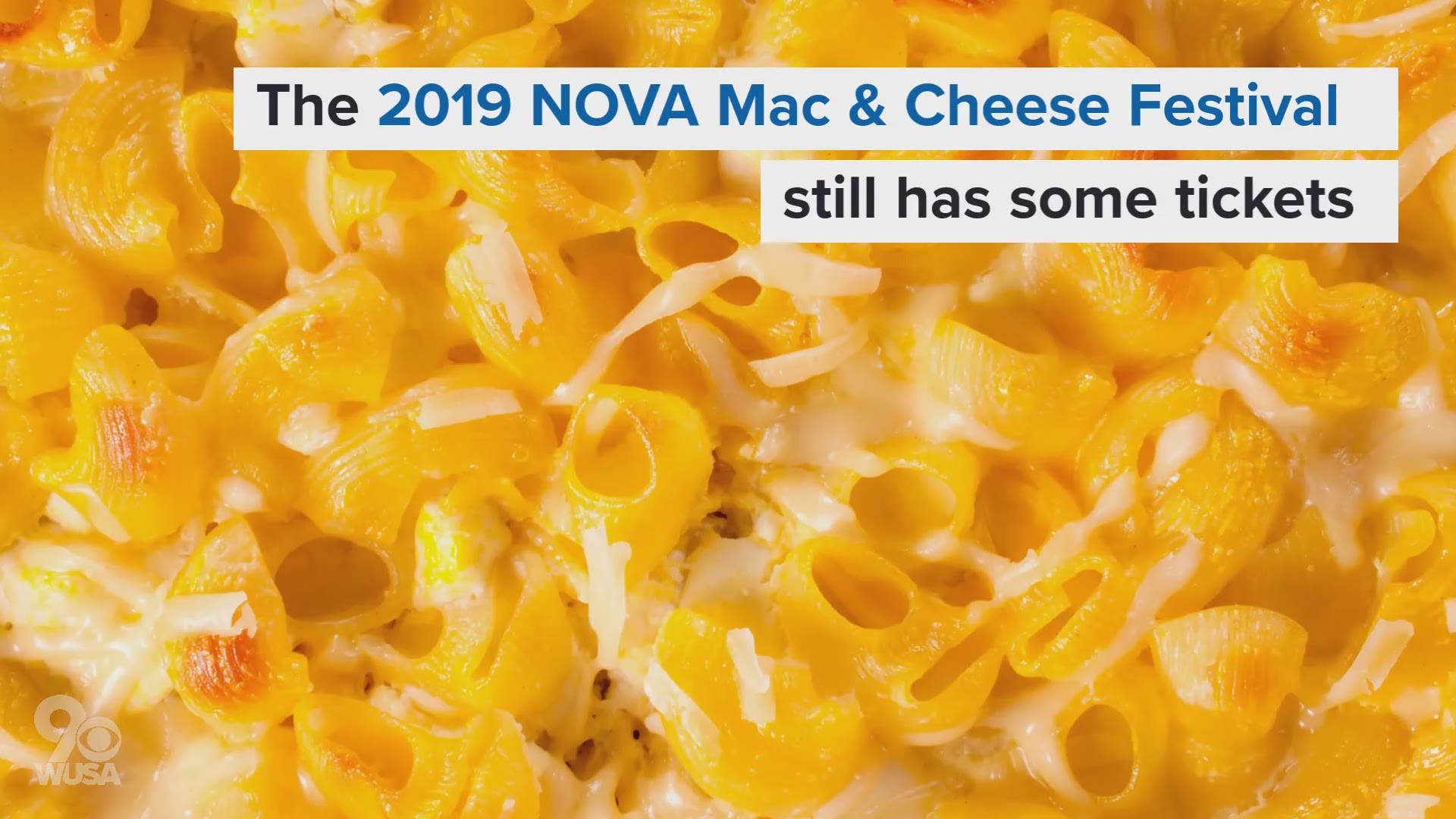 If you like mac and cheese, this is the event for you.