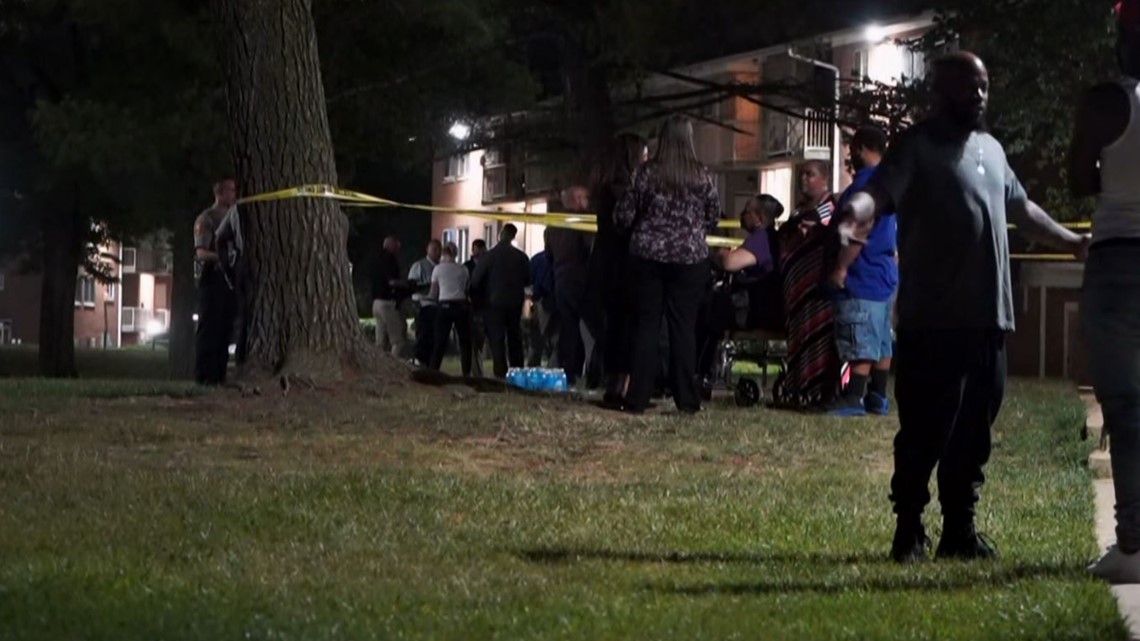 Alexandria man found shot, homicide investigation underway