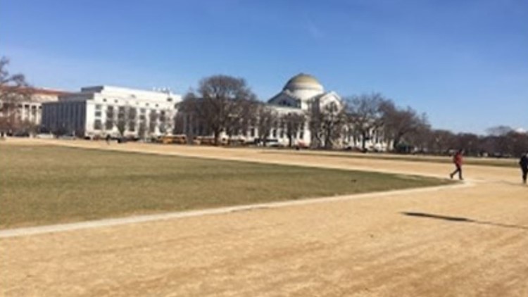 Washington, DC’s surprising February temperatures