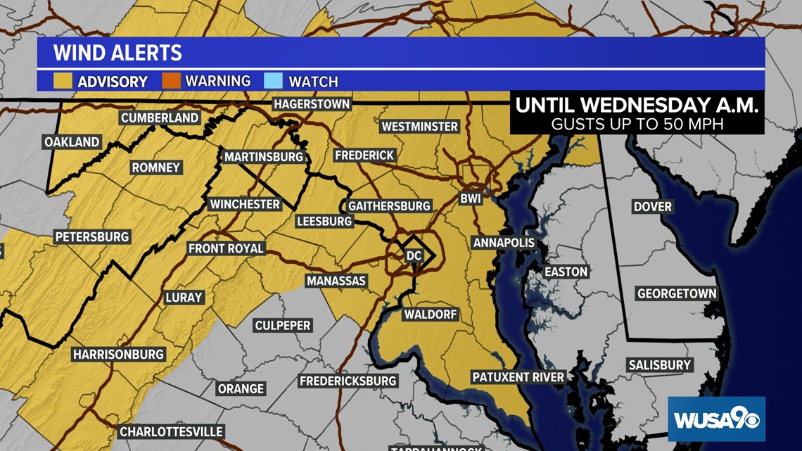 Washington DC woman turns 110yearsold on Wednesday