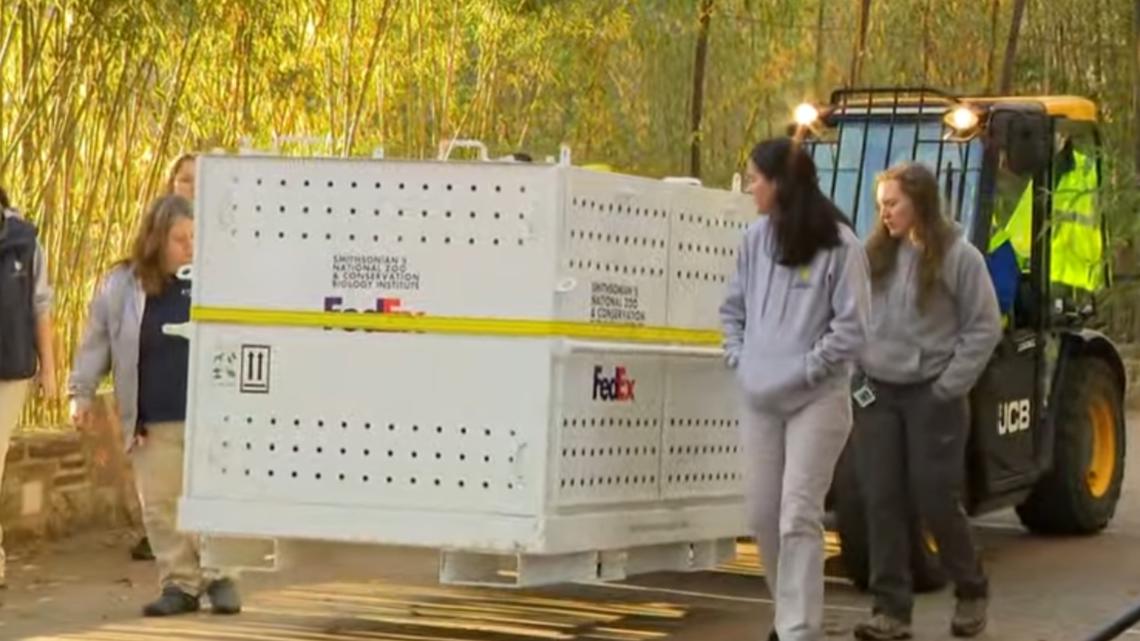 National Zoo giant pandas head back to China after 50 years | wusa9.com