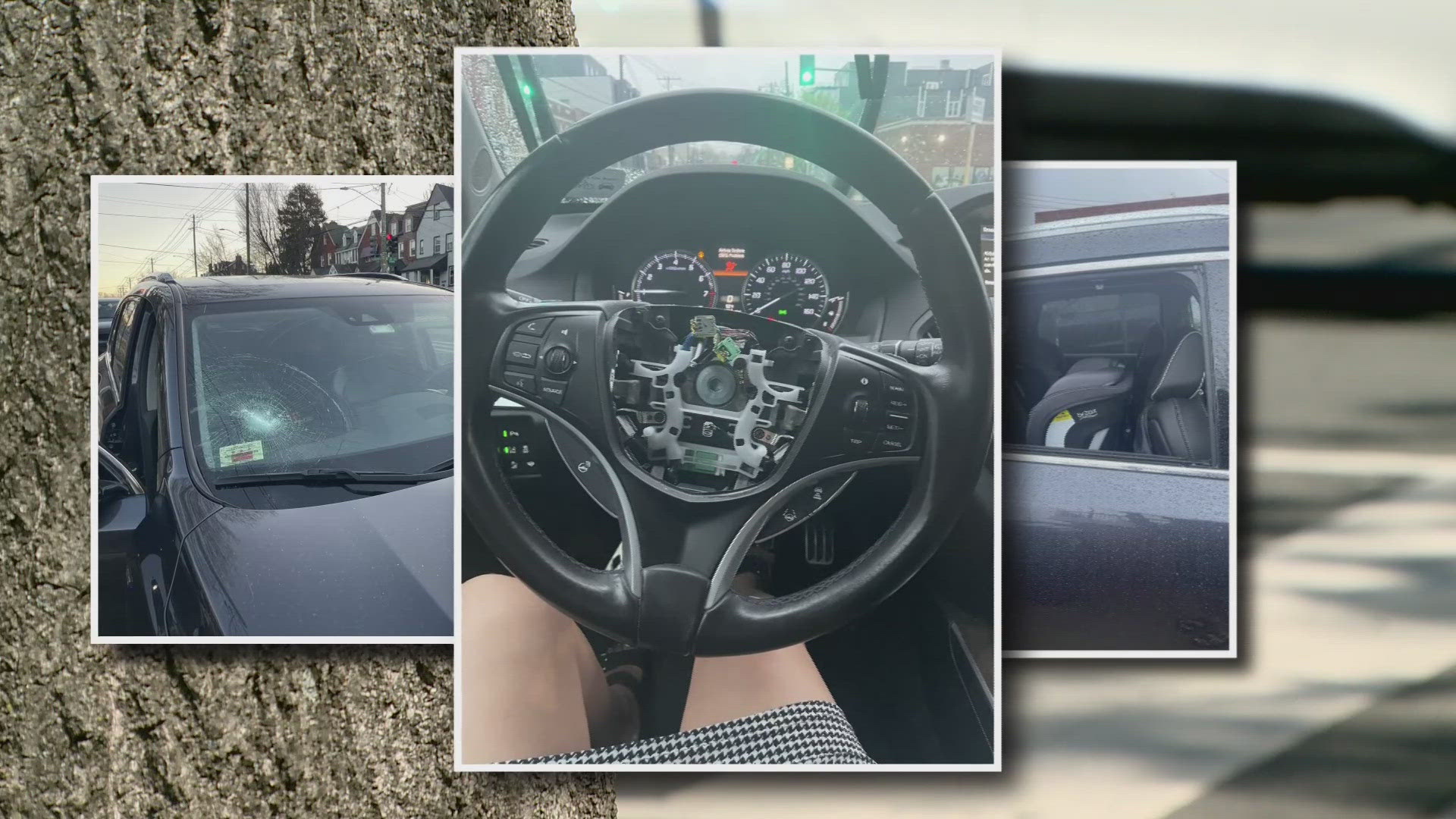 Fabiana Perera says she found her back passenger window smashed and her airbag stolen after parking on the street this week. 