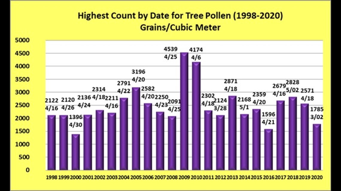 Tree pollen count is high in DC region, affecting allergies