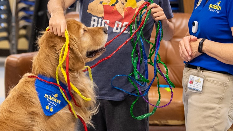 Special needs students in Fairfax Co. learn math with help of therapy dog